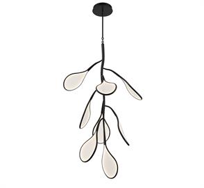 Volare Collection