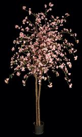 6.5' Cherry Blossom Tree in Pine or White Colors