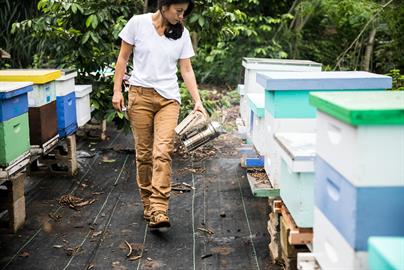Dovetail Workwear