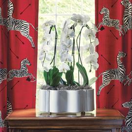 Tuscan Oval Scalloped planter