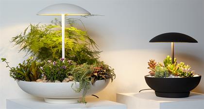 Garden Table Lamps