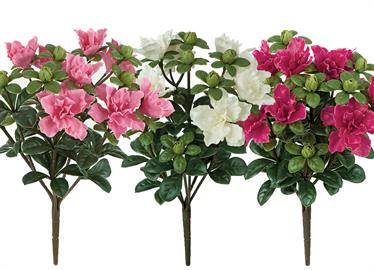 Polyblend UV Outdoor Azalea Bushes