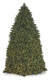 Indoor/Outdoor Commercial Christmas Trees Up to 40' Tall