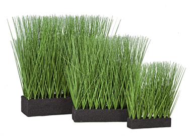 Rectangle Onion Grasses - 11" , 16" , 19"