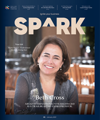 Spark January 2021
